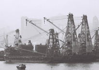 love letter to Hong Kong